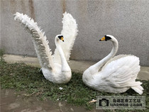 Simulation feather White Swan garden ornaments film and television shooting props Swan Lake theme wedding design window decoration