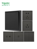 Переключатель Schneider Shocket Pane