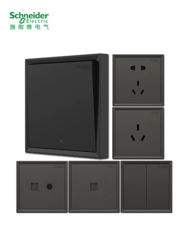 Переключатель Schneider Shocket Pane