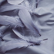 ins Wind gray feather room decorations pendulum Photo Photo Photo manicure ornaments props Nordic cold background