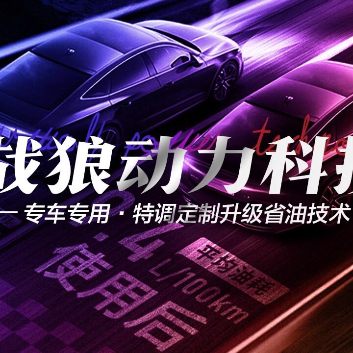 战狼动力科技的LOGO