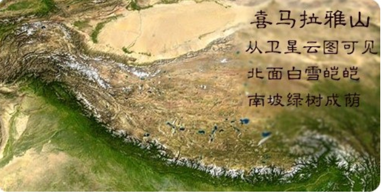 Hương thơm 01 Phong cách - Gỗ đàn hương thơm Ấn Độ Hoa sen Ấn Độ Himalaya Nhập khẩu Vana Hương liệu - Sản phẩm hương liệu thắp hương