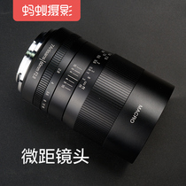 Seven Craftsman 60mm F2 8 Macro Lens Ant Photography for Canon Sony Fuji Micro Single