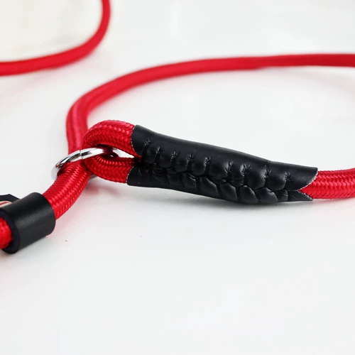 宠之福 PET P Цепная собака P