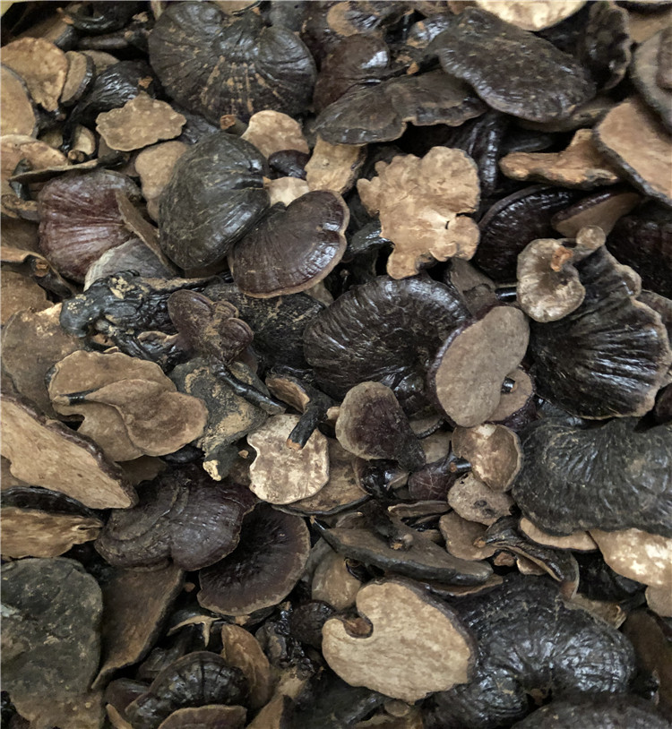 Bamboo Ganoderma lucidum cover wild bamboo Ganoderma lucidum leaves natural sessile bamboo Ganoderma lucidum cover wild Yunnan Ganoderma lucidum Linzhi tablets 250g