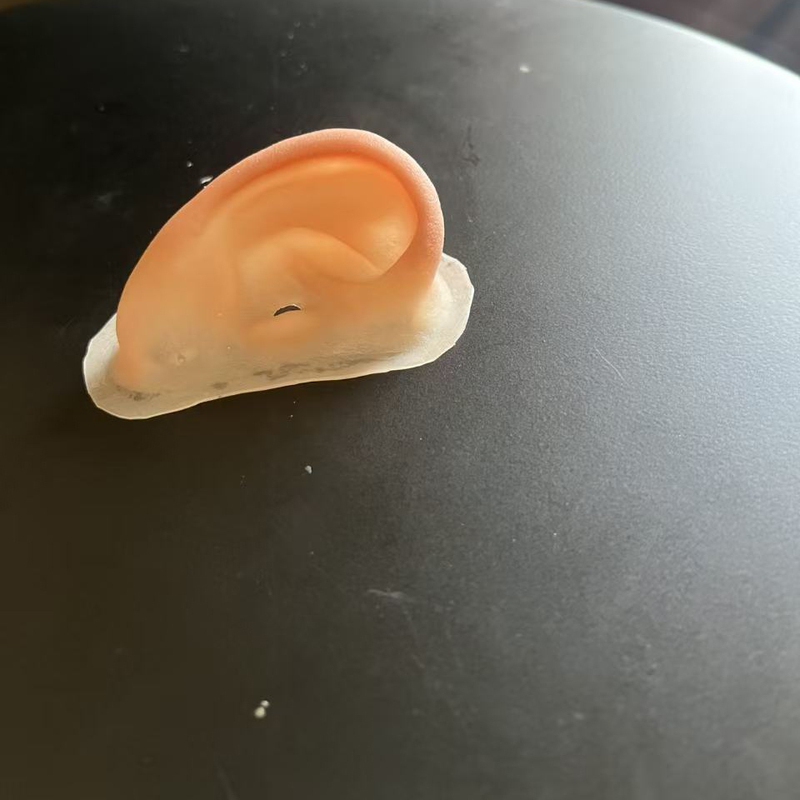 Fake Ears, Simulated Silicone Prosthetic Ears, Anchor Veneer Ears, Elf Ears, Big Ears, Small Ears, Deformed Cover
