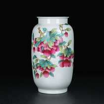 Living room study vase Jingdezhen ceramic vase Chinese hand-painted pastel ceramic bottle TV cabinet decoration ornaments