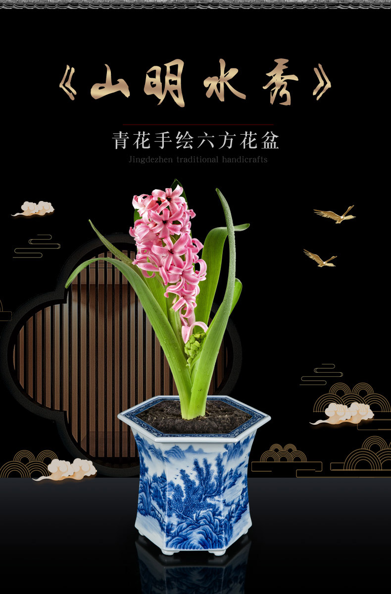 Jingdezhen blue and white porcelain hand - made six - party pot podocarpus potted orchid the plants flower huai household in the basin