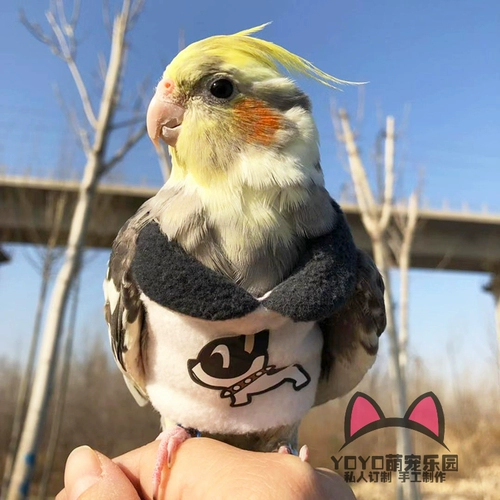 Удерживающий тепло зимний йо-йо, делается под заказ, дорожная версия, увеличенная толщина