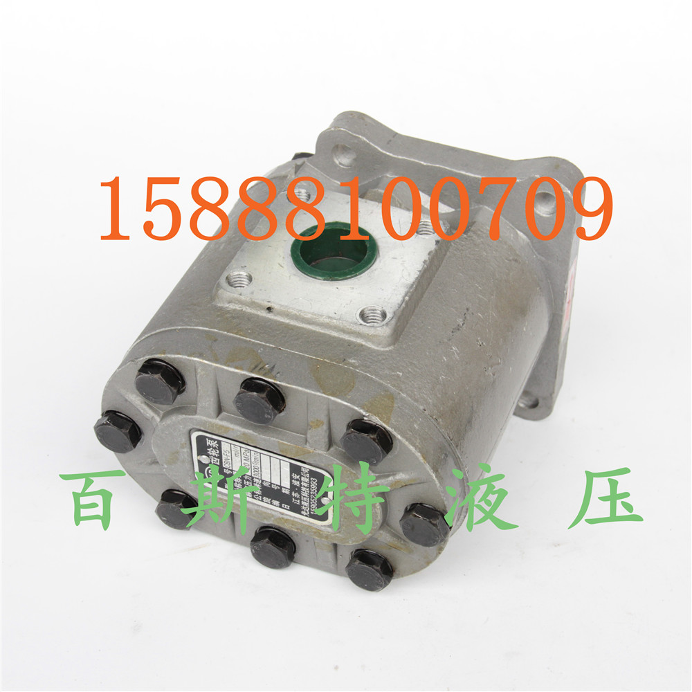Manufacturer direct CBN-E F532 550 563B flat key spline hydraulic high-pressure oil pump hydraulic gear pump