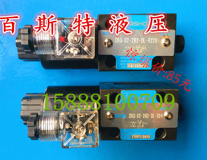 Hydraulic Valve Hydraulic Solenoid Reversing Valve DSG-02-2B2-LW DSG-02-2B2-DL Series in stock