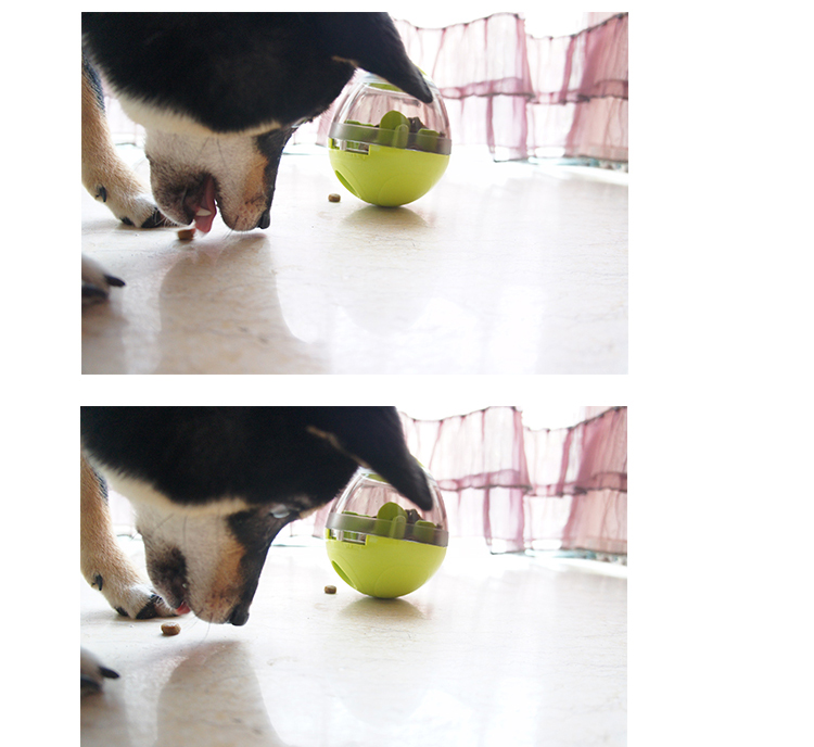 Pet thức ăn chậm chó chó tumbler rò rỉ thực phẩm bóng giáo dục đồ chơi mèo cắn giết thời gian cung cấp đồ chơi đồ chơi mèo