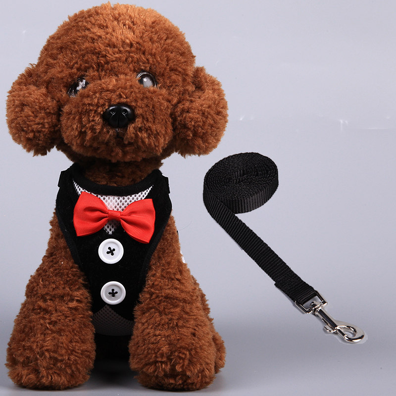 Dog Leash Pet Harness Teddy Bichon Small Dog Walking Leash Vest Dog Chain Pet Supplies