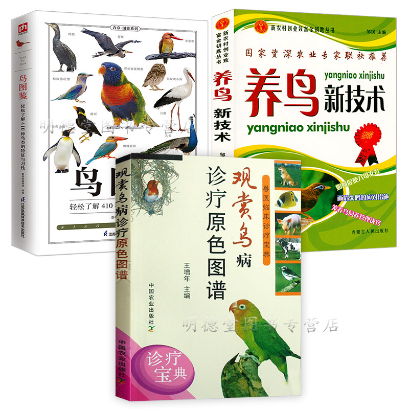 家庭养鸟新手必看:从观赏到诊疗的全方位指南-畜牧/养殖-淘宝好物网