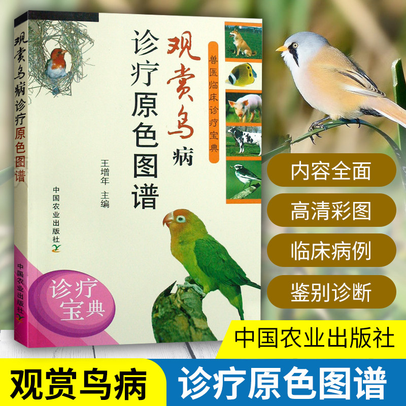 家庭养鸟新手必看:从观赏到诊疗的全方位指南-畜牧/养殖-淘宝好物网