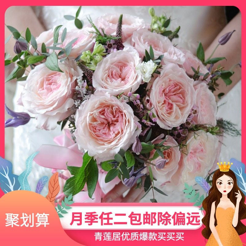 奥斯汀切包月季青莲居清香灌木欧月阳台花镜1加仑不含盆月季花苗