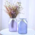 Đơn giản kính mờ mờ bình thủy tinh sáng tạo cây thủy canh thủ công bình thủy tinh phòng khách trang trí hoa trang trí - Vase / Bồn hoa & Kệ