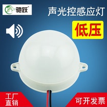 Leapfrog indoor stairway corridor corridor low pressure DC12V24V sound and light control lamp