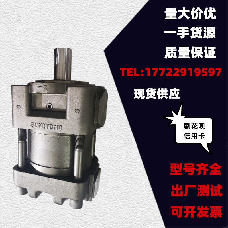 Japan Sumitomo oil pump QT62-80F 100F 125F-BP-Z QT62-80E-S1389 servo gear pump