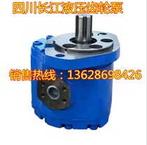 CBY4125 4140 4150 4150 4170 4170 4180 4190 4200 Yangtze River gear oil pumps A1FR