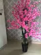 1,65 метра три -цветы персиков с горшками