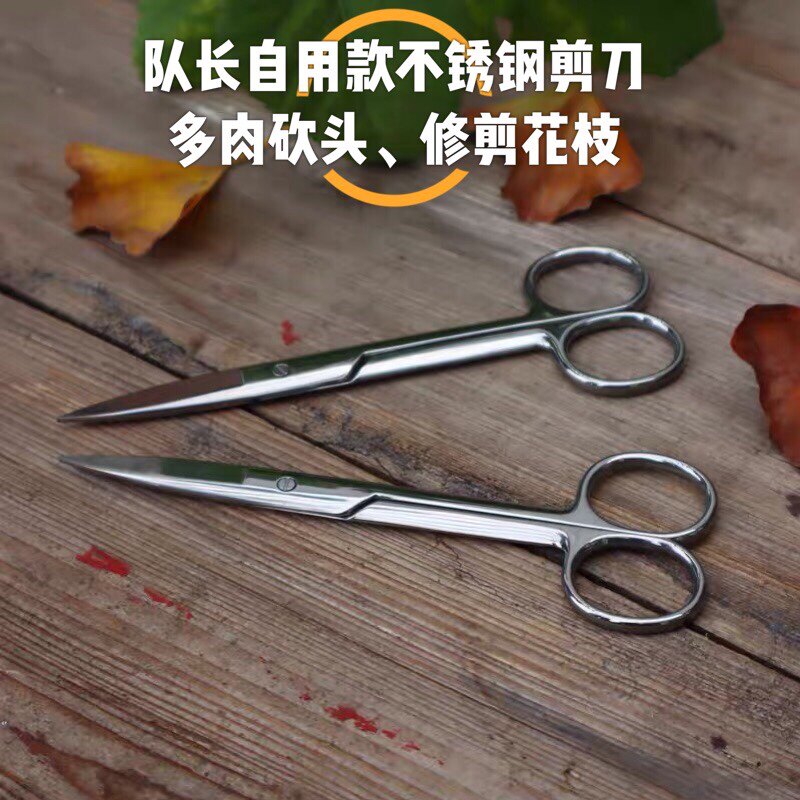 Bonsai pruning and modeling special tools Leaf bud scissors Stainless steel fleshy beheading scissors Bud trimming scissors Pruning bud cutting scissors