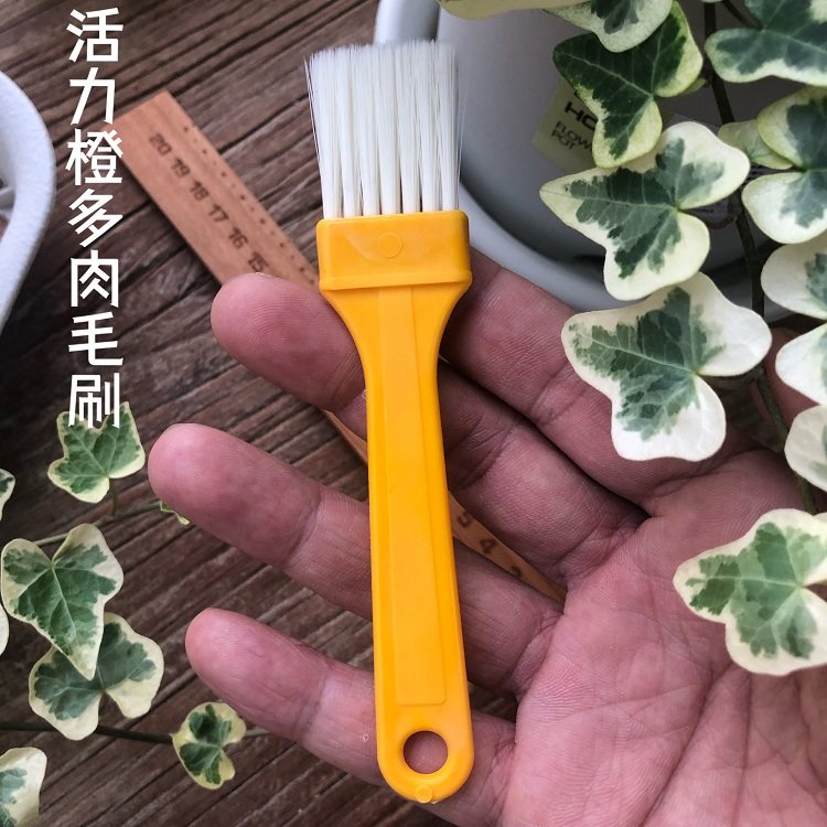 Captain's house Japanese-style succulent cleaning brush Plant dusting brush Home gardening potted cleaning brush