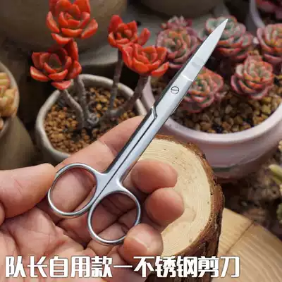 Captain's succulent beheading, root trimming, pruning scissors, stainless steel scissors, special scissors for gardening, green plants and flowers