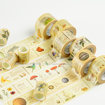 Japan imported and paper tape mt for ex retro picture book series specification 30mmx10m of six models