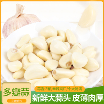 Chaoshan garlic handmade peeled dry garlic white skin peeled garlic food garlic food garlic raw materials