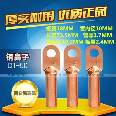 DT-50 square copper nose wire nose copper terminal copper wire lug oil plugging cable copper connector national standard DT tin plated