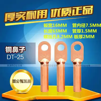 DT-25 square copper nose wire Nose copper terminal copper wire ear cable oil plugging copper connector National standard DT tinned