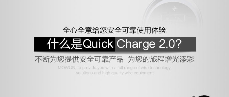 chargeur 2.1A, 4A - Ref 1294103 Image 14