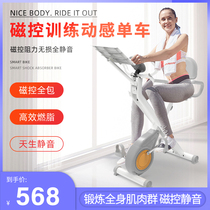 Silent magnetron fitness bike Sports equipment Home multi-function exercise Indoor bicycle foot pedal spinning bike