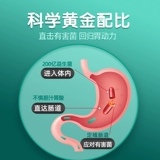Германия Синопласан от желудочно -кишечного пробиотического пробиотического желудочно -кишечного порошка 60 зерна Royci Lactobacillus для взрослых средних и пожилых людей