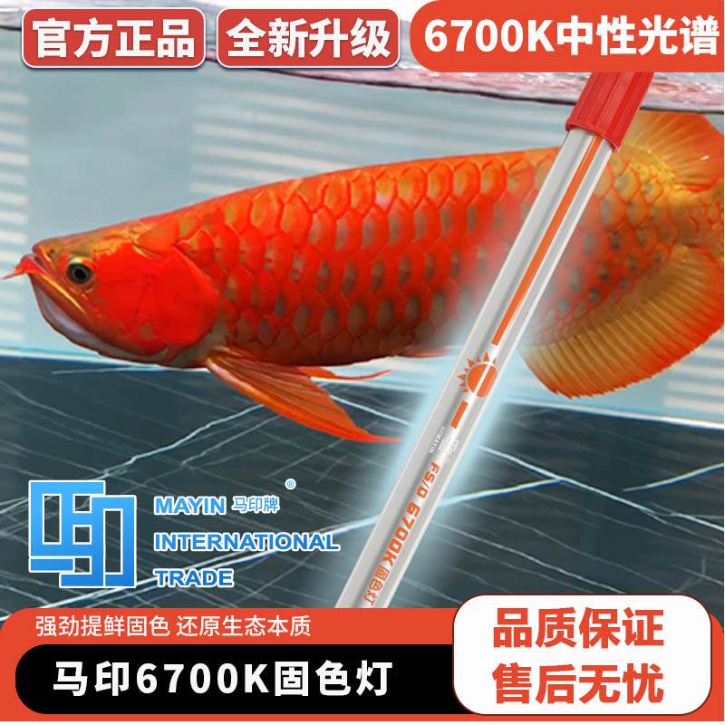 Malike aquarium fish tank lamp dedicated color color - proof submersible 3 basic color - resistant lights