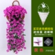 Mô phỏng Violet Lan Vine Wall Treo Hoa Lan nhựa Hoa Hoa Vine Trang trí phòng khách Hoa Sakura Hoa Mây Mây Treo Tường - Hoa nhân tạo / Cây / Trái cây