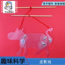 Science and technology small production experiment diy science training equipment New Year gift small Newton homemade shadow play