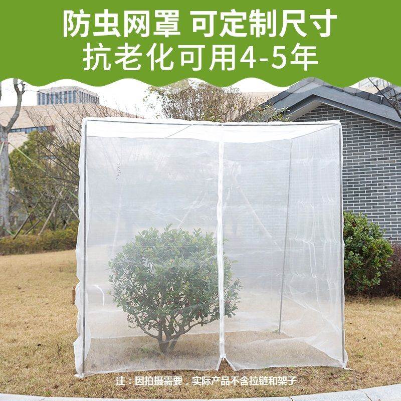 Fruit Tree Anti-Insect Mesh Hood Vegetable Greenhouse Cherry Poplar Plum Fruit Tree Anti-Insect Bird Nets Balcony Patio Screen for anti-willow wool