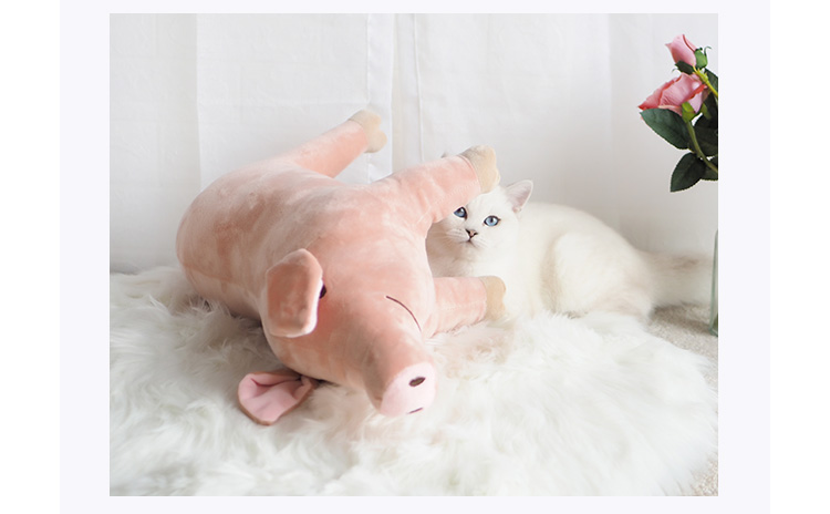 Ins búp bê lợn thú cưng ngủ đồ chơi sang trọng lợn dễ thương mèo đồ chơi chó búp bê mèo đồ chơi đồ chơi cho mèo cào