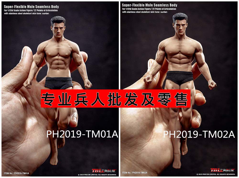 PHICEN TBLeague 1 12 coated gluon meatine body (epidice) TM01A TM02A spot