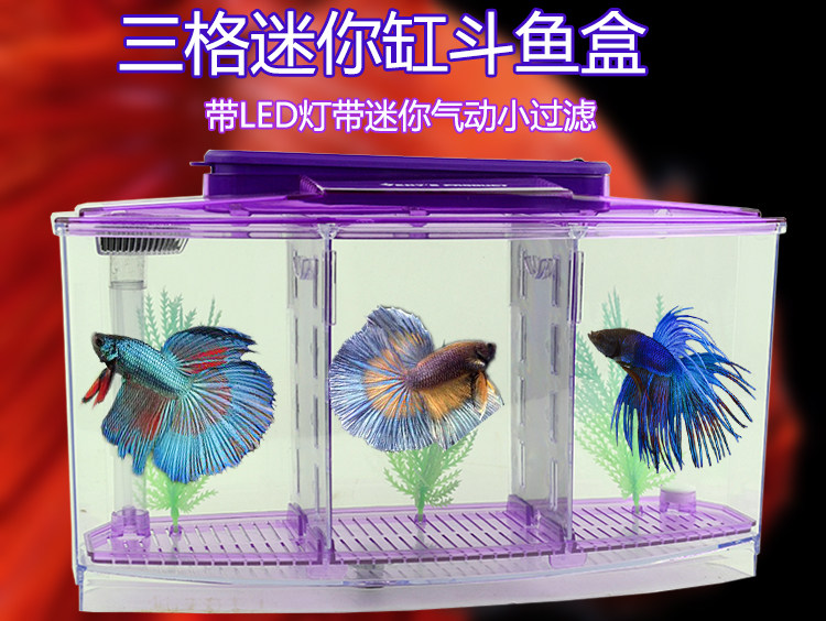Mini desktop led Betta box bucket fish tank office fish farming small Mini small fish tank single double grid