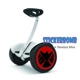 Millet chín 9 cân bằng bánh xe ô tô cân bằng nhỏ xe cơ thể lá phụ kiện dán kê kê thứ 9 nhãn dán - Smart Scooter 	xe thăng bằng rider