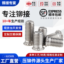 Stainless steel riveting screws 304 pressure plate screws FHS-M8-10 M8-60 FHS-M10-12 M10-45