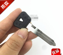 Yamaha Magician 250 XG250 XT250x Little Antelope 250 fawn 250 key embryo key