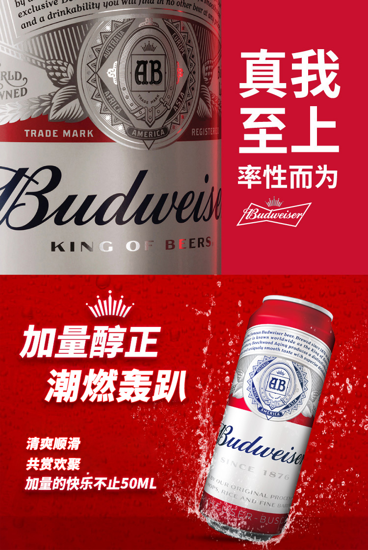 百威 经典醇正啤酒 550ml*30听+255ml*24听 图1