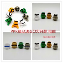  Boutique 4 points PPR wire plug plastic plug Outer wire plug outer tooth plug stuffy head 4 points free raw material with O-ring
