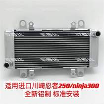 Convient pour Kawasaki petit ninja 250 Ninja300 ninja 300 08-17 ans Radiateur dassemblage de réservoir deau