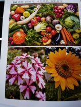 Very white A3 photo quality inkjet printing paper 140g single-sided high white waterproof color spray paper A4 high resolution paper