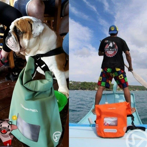 Японская трансмиссионевая тропа